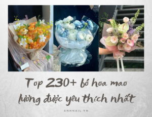 Gợi ý 230+  bó hoa mao lương đẹp ý nghĩa được yêu thích nhất