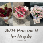 Hình ảnh bó hoa hồng đẹp