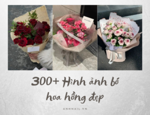 Gợi ý 300+ Hình ảnh bó hoa hồng đẹp độc đáo và lãng mạn
