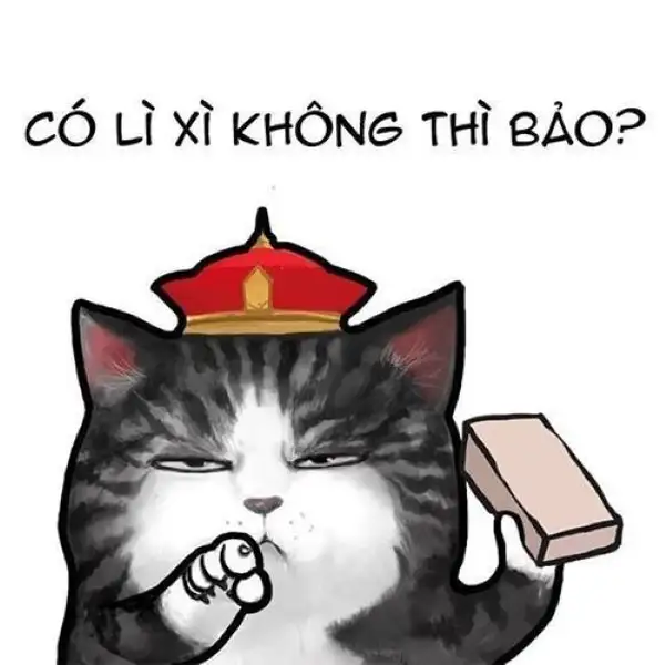 meme tết mèo cute