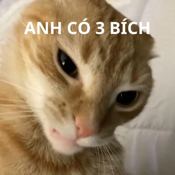 3 bích đi trước meme