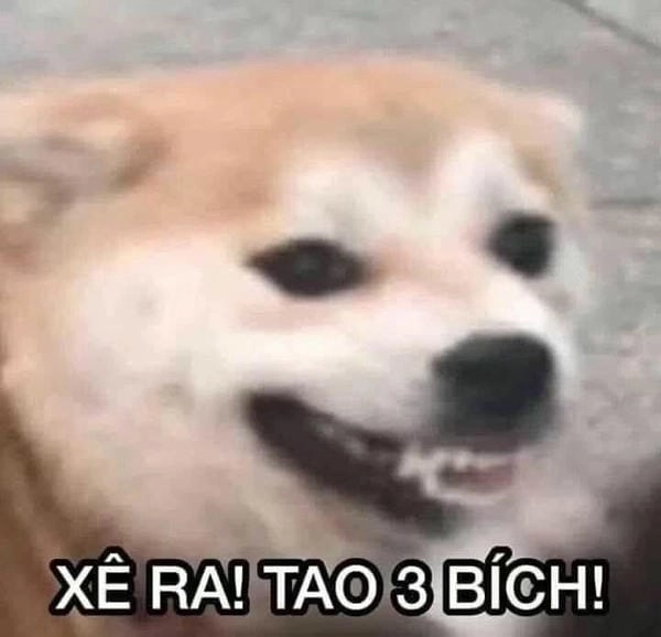 tôi có 3 bích meme