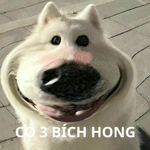 ảnh 3 bích meme hài hước