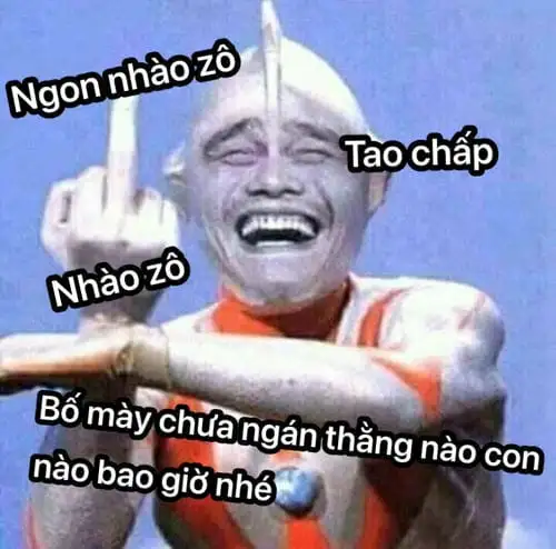 ảnh meme bựa tao chấp