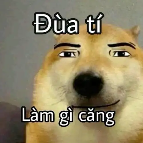 hình meme bựa làm gì căng