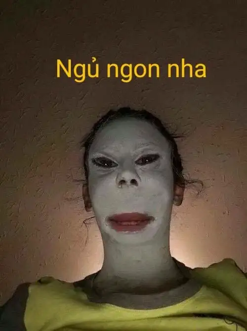 ảnh meme bựa ảnh chế ngủ ngon 