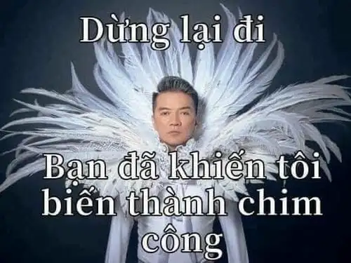 meme bựa ảnh chế dừng lại đi