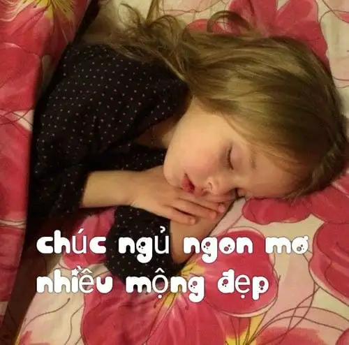 chúc bạn ngủ ngon meme