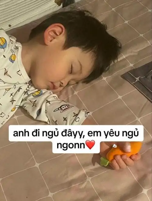 meme ngủ ngonnnn