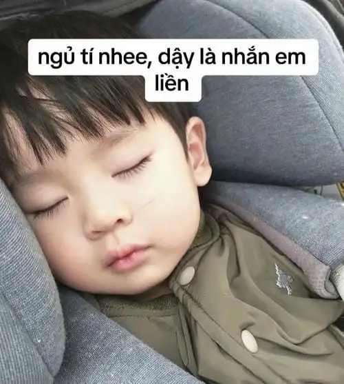 meme chúc ngủ tí nhé