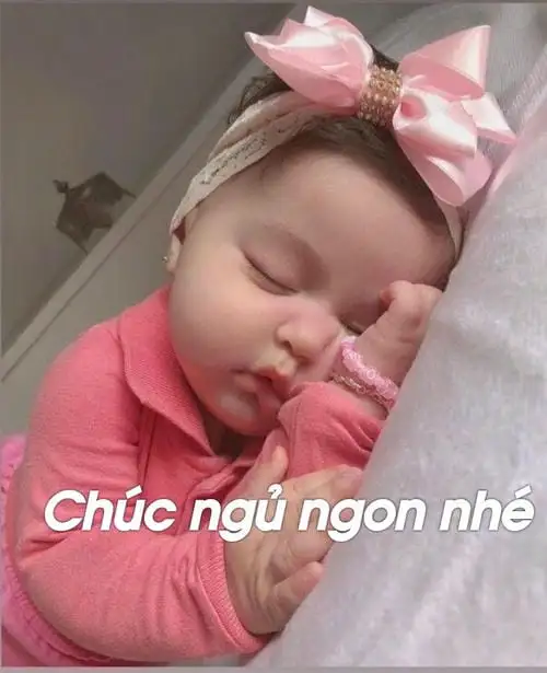 ảnh meme chúc ngủ ngon nhé