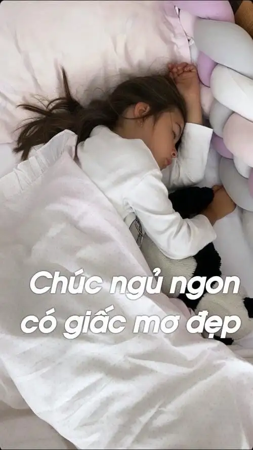 meme ngủ ngon mơ đẹp