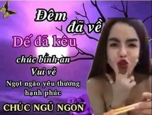 ảnh meme chúc ngủ ngon linda