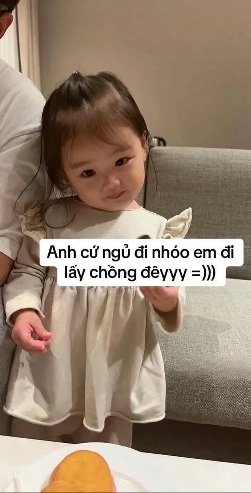 meme mèo chúc ngủ ngon nhó