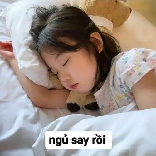 meme chúc ngủ ngonsay rồi