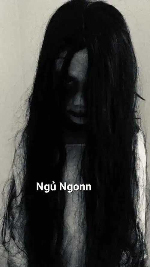 meme ngủ ngon hài hước