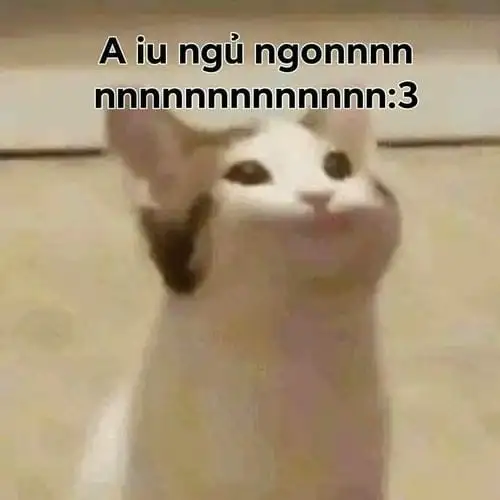 ảnh meme a iu ngủ ngon