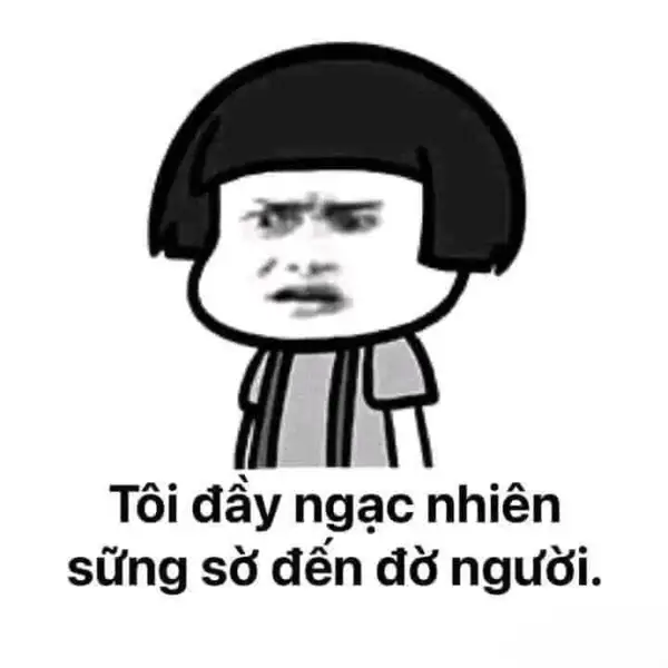 ngạc nhiên chưa meme đờ người