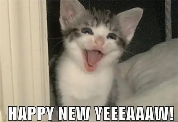 ảnh meme tết happy new year mèo hét