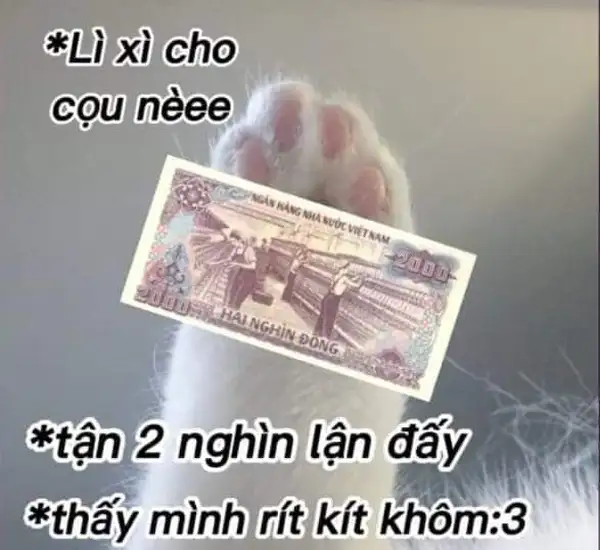 meme lì xì tết nè