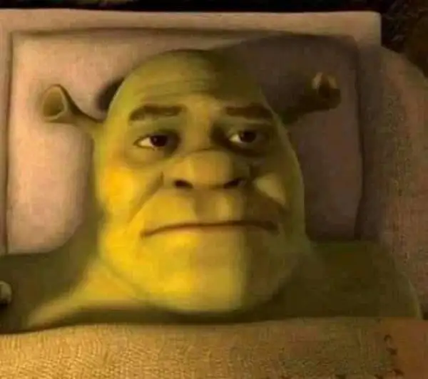 meme shrek buồn ngủ