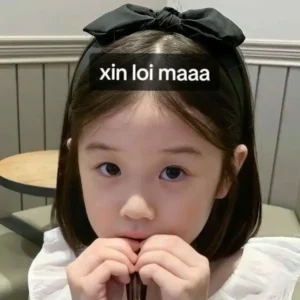 77+ Meme xin lỗi cute hài hước, ừ xin lỗi được chưa meme bựa