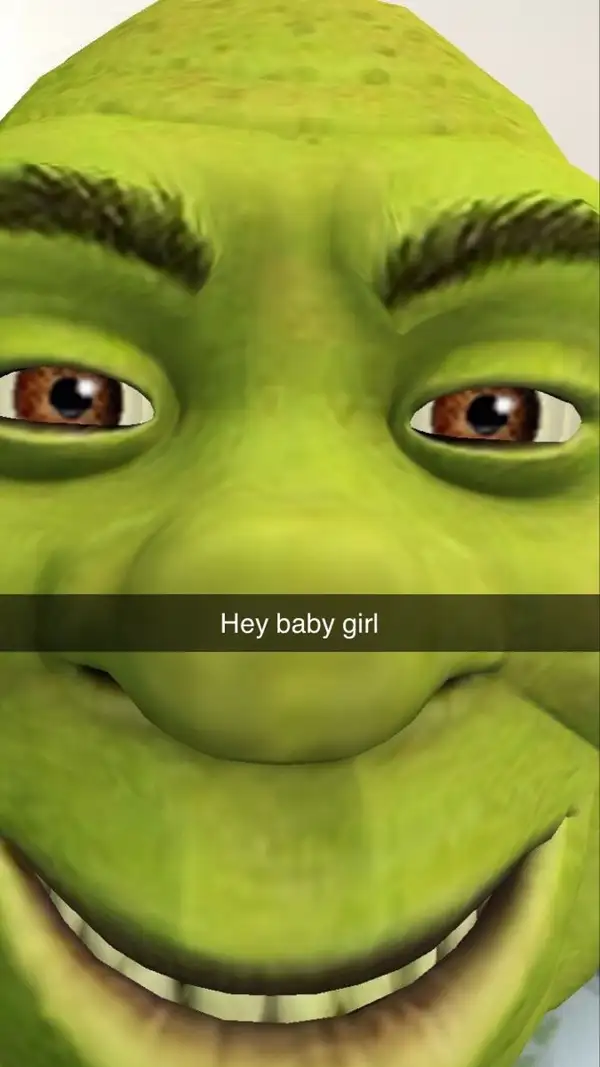 meme shrek hey baby girl