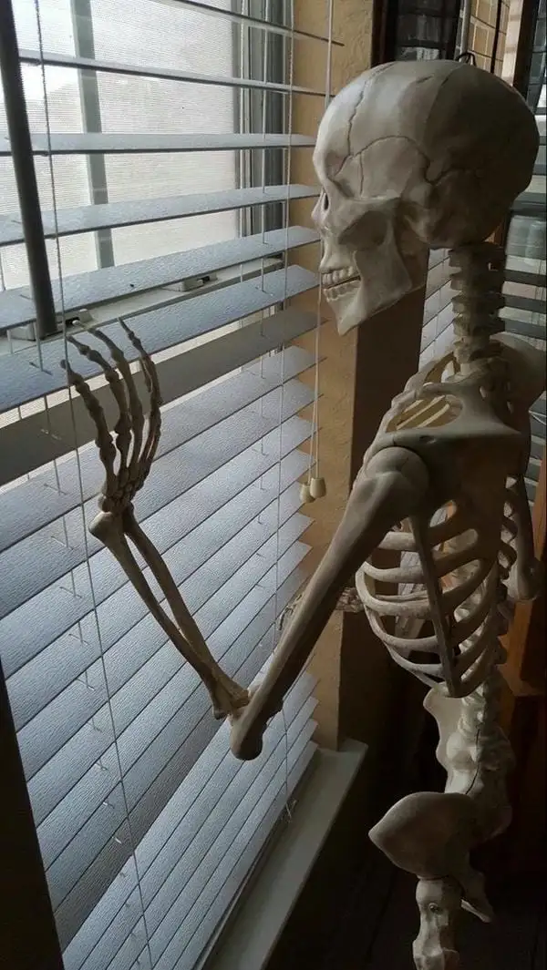 skeleton meme coi chừng