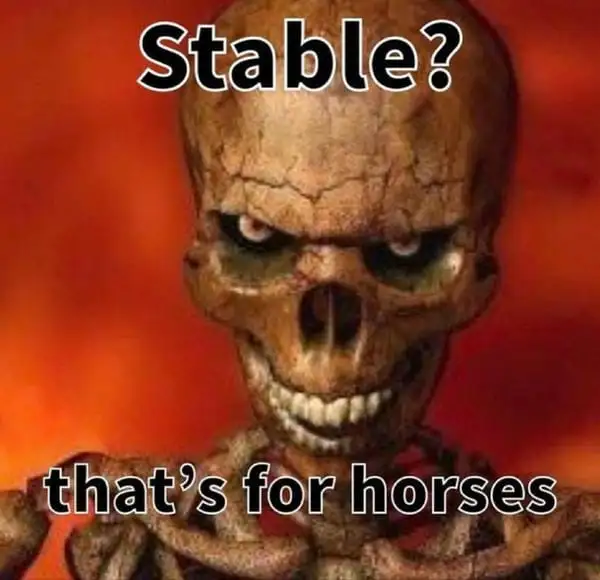 meme skeleton stable