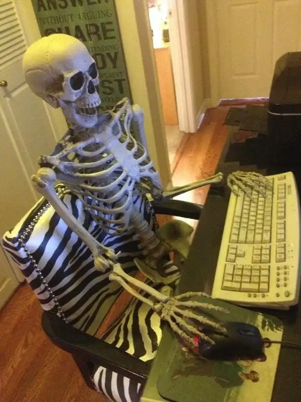 meme skeleton đang àm việc