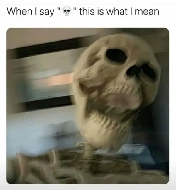 ảnh skeleton meme bựa