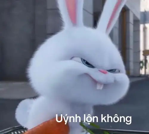 thỏ snowball meme uýnh lộn không