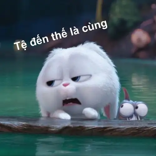 ảnh thỏ snowball meme tệ