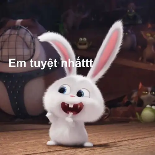 ảnh thỏ snowball meme em tuyệt nhất