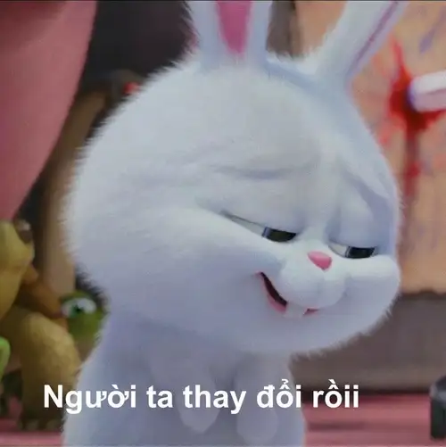 thỏ snowball meme thay đổi