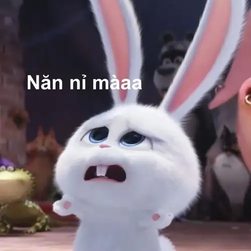 thỏ snowball meme năn nỉ