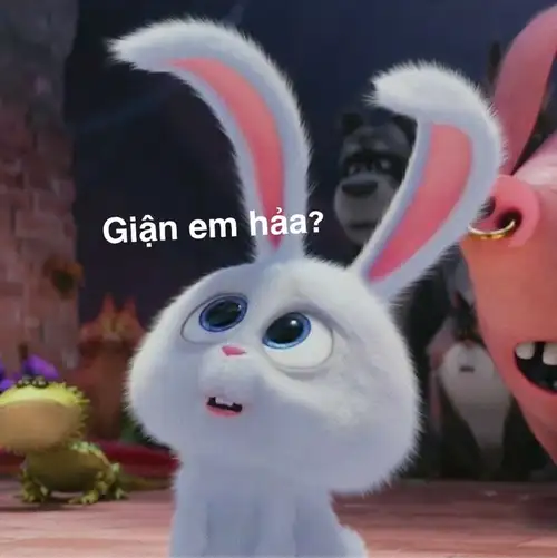 thỏ snowball meme giận em hả