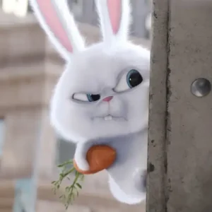 80+ Thỏ Snowball meme với biểu cảm khó đỡ nhất hệ mặt trời