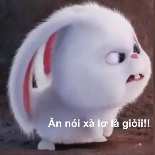 thỏ snowball meme xà lơ