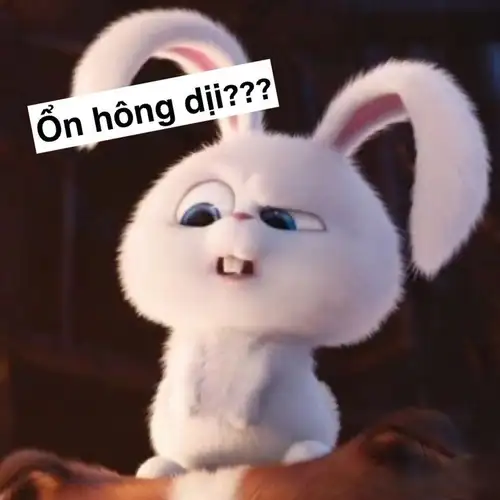 thỏ snowball meme ổn không dị