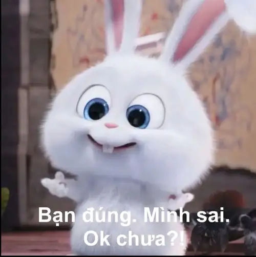 thỏ snowball meme bạn đúng mình sai