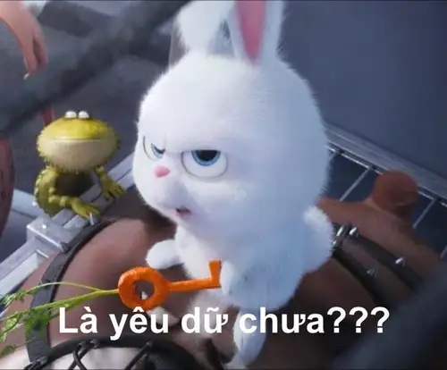 ảnh thỏ snowball meme là yêu dữ chưa