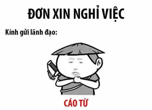 meme cáo từ xin nghỉ việc