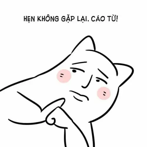 meme cáo từ hẹn không gặp lại