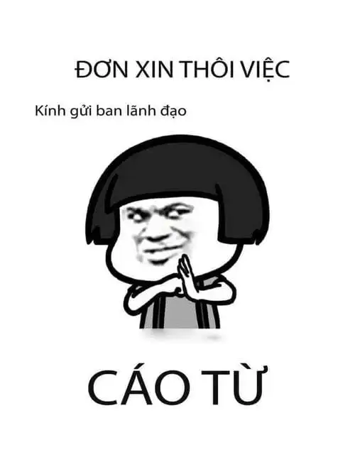 xin cáo từ meme nghỉ việc