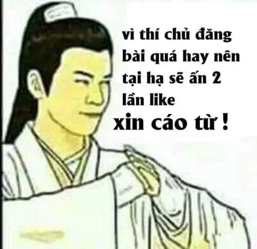 xin cáo từ meme