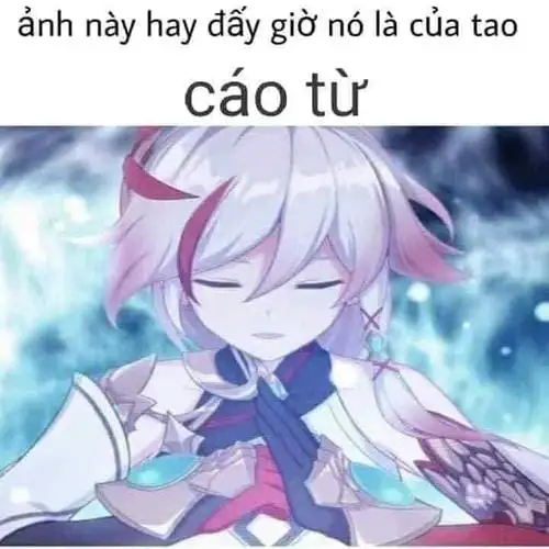 ảnh meme cáo từ anime