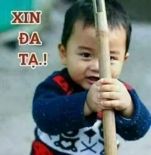 ảnh meme xin đa tạ