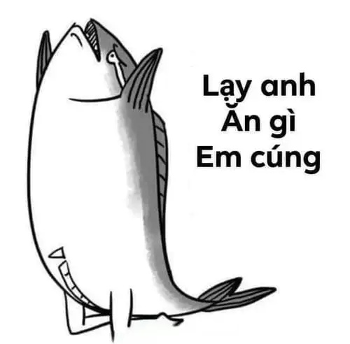 đa tạ meme lạy anh