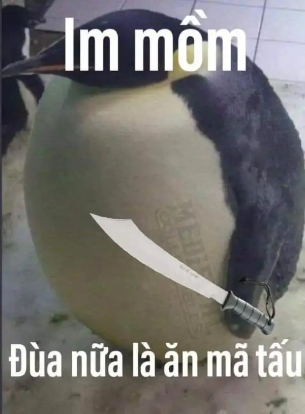 ảnh meme im mồm